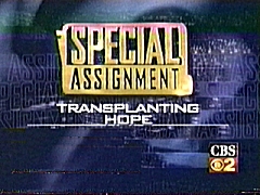 Special Assignment Graphic